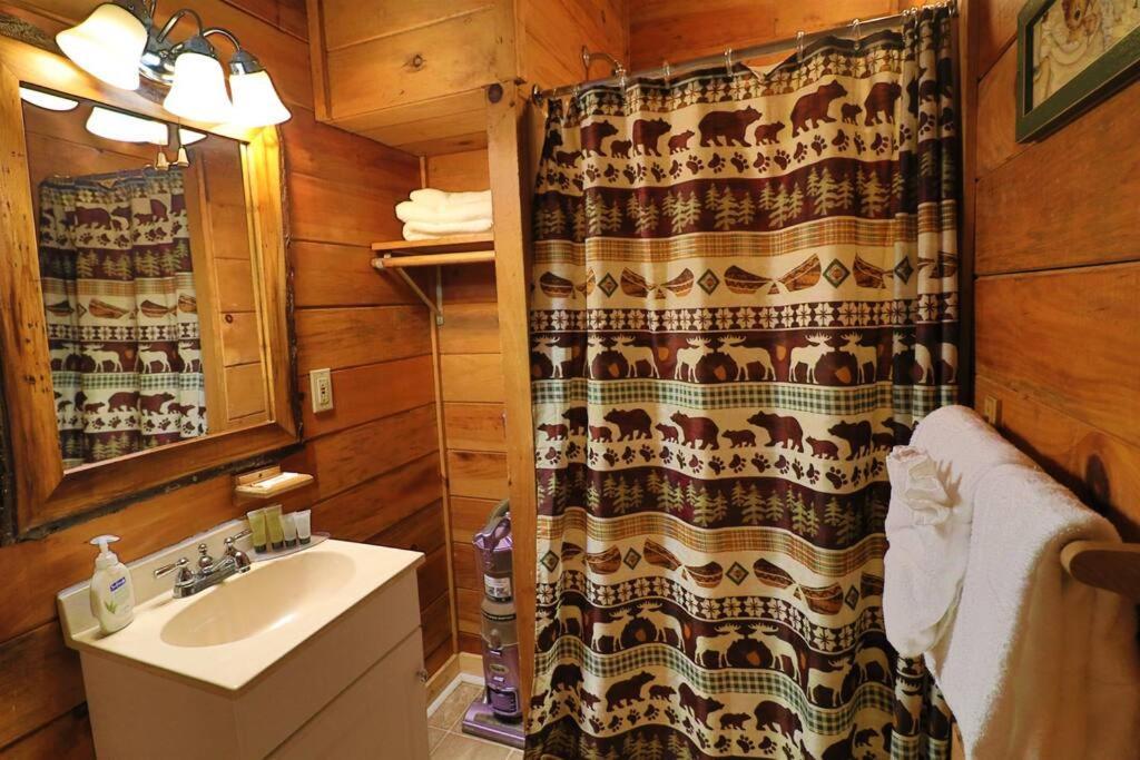 Alpine Mountain Sweetheart Cabin Jacuzzi #6 Helen Εξωτερικό φωτογραφία